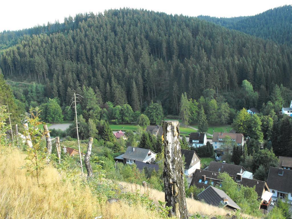 Ferienwohnung Sonnenhuegel Вільдеманн Екстер'єр фото